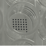 Microdrops in a microtiter well