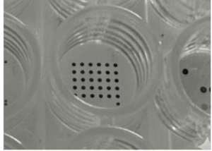 Microdrops in a microtiter well