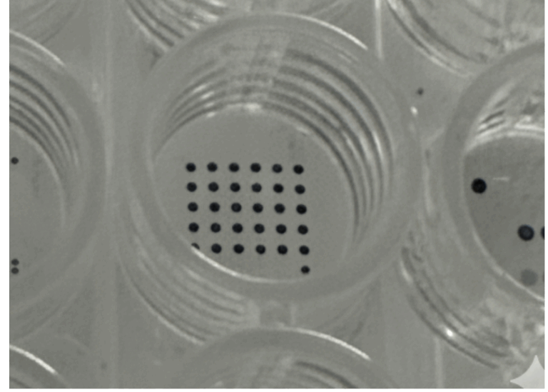 Microdrops in a microtiter well