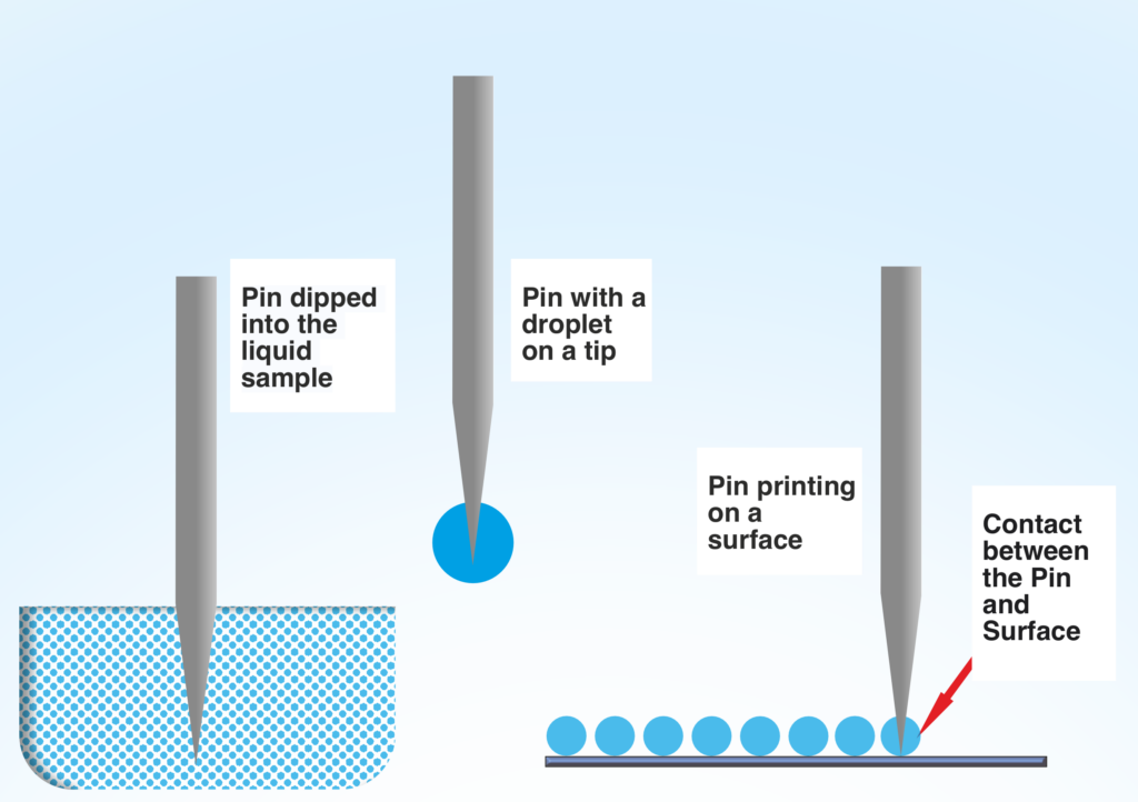 Pins contact microdispensing